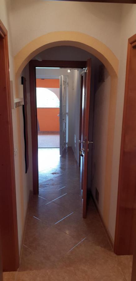Apartmani Citrus Novigrad Filipac Buitenkant foto