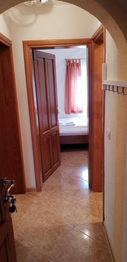 Apartmani Citrus Novigrad Filipac Buitenkant foto