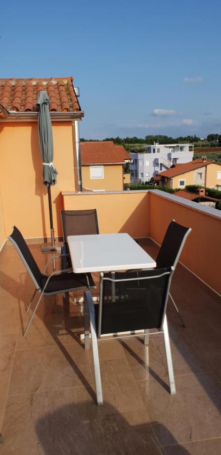 Apartmani Citrus Novigrad Filipac Buitenkant foto
