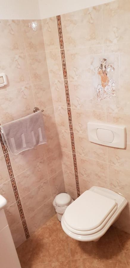 Apartmani Citrus Novigrad Filipac Buitenkant foto