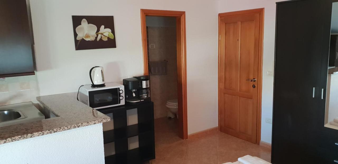 Apartmani Citrus Novigrad Filipac Buitenkant foto