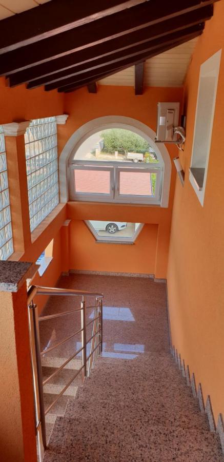 Apartmani Citrus Novigrad Filipac Buitenkant foto