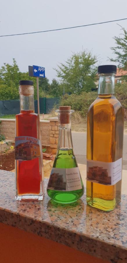 Apartmani Citrus Novigrad Filipac Buitenkant foto