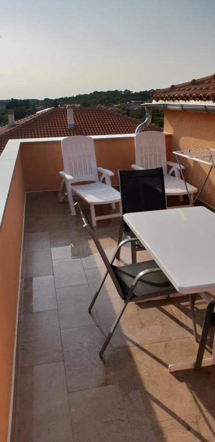 Apartmani Citrus Novigrad Filipac Buitenkant foto