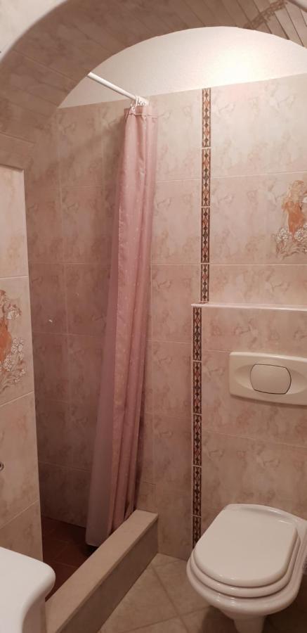 Apartmani Citrus Novigrad Filipac Buitenkant foto