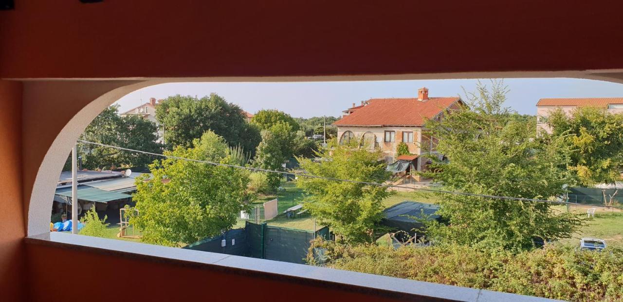 Apartmani Citrus Novigrad Filipac Buitenkant foto