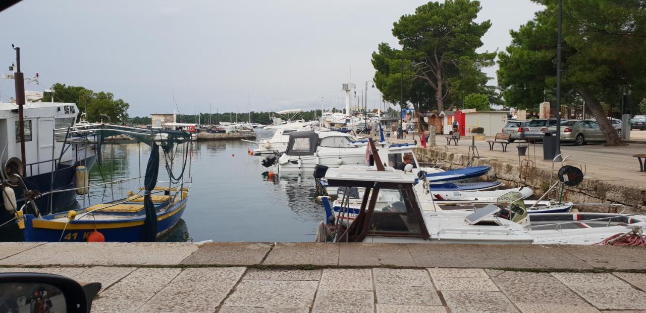 Apartmani Citrus Novigrad Filipac Buitenkant foto
